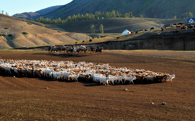 ���� DSC_5490.JPG