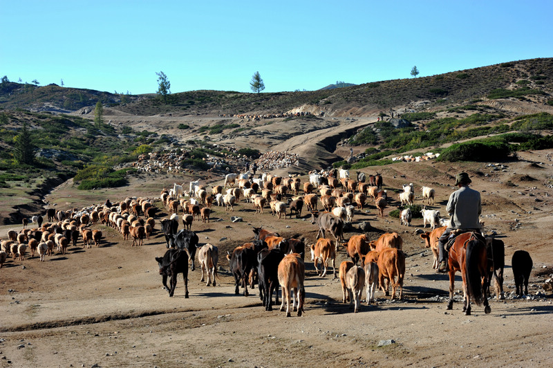 ���� DSC_5518.JPG