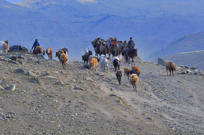 ���� _DSC0272.JPG