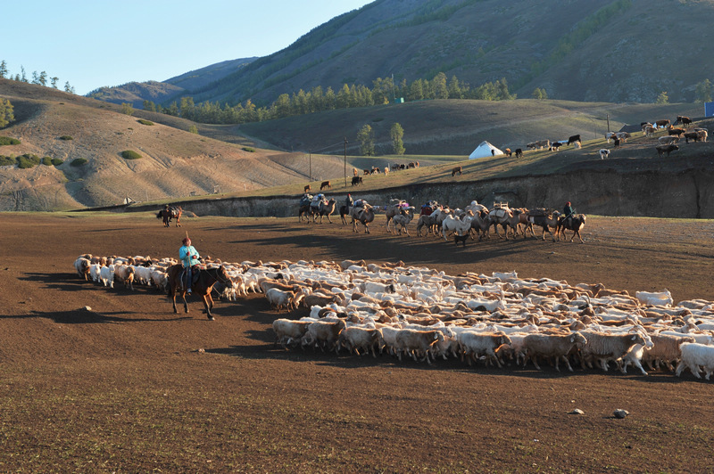 ���� DSC_5492.JPG