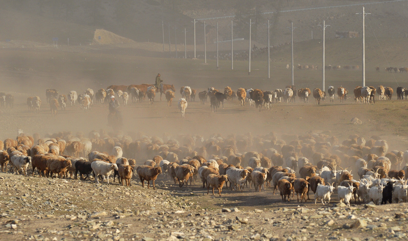 ���� _DSC0261.JPG