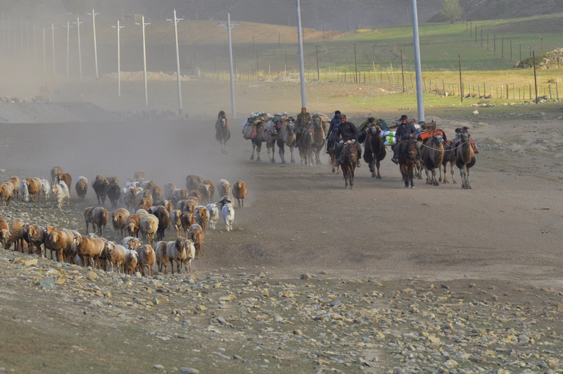 ���� _DSC0263.JPG