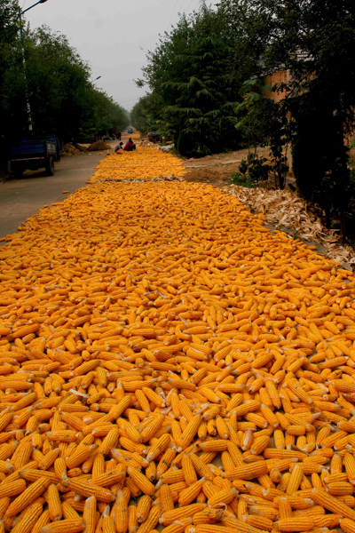 �����ջ� (2).JPG