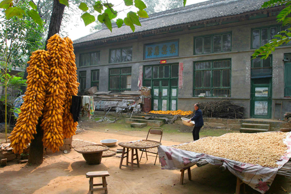 �����ջ� (17).JPG