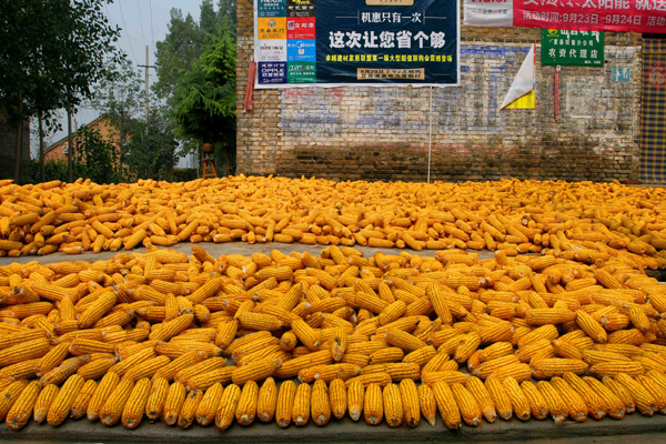 �����ջ� (12).JPG