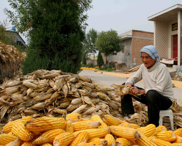 �����ջ� (5).JPG