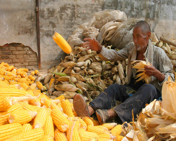 �����ջ� (11).JPG