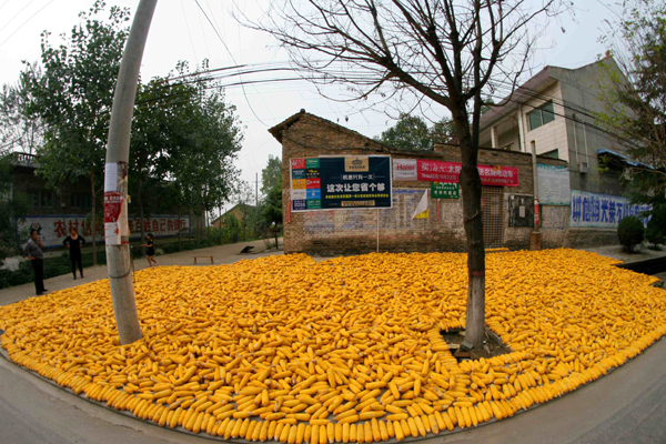 �����ջ� (9).JPG