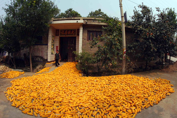 �����ջ� (20).JPG