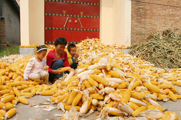 �����ջ� (16).JPG