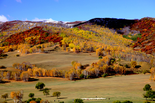 ���ɹŰ��Ϲ��� (38).JPG