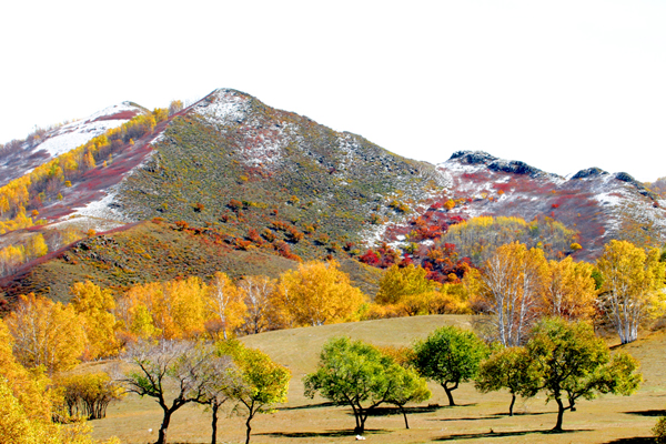 ���ɹŰ��Ϲ��� (16).JPG