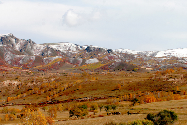 ���ɹŰ��Ϲ��� (22).JPG