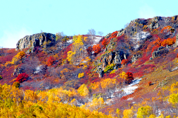 ���ɹŰ��Ϲ��� (10).JPG