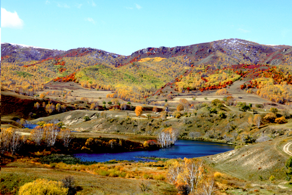 ���ɹŰ��Ϲ��� (37).JPG