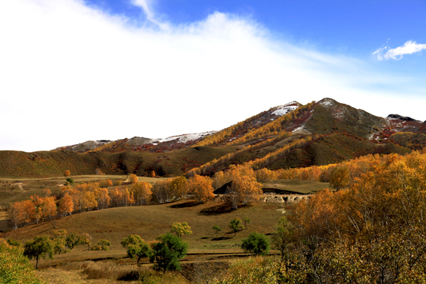 ���ɹŰ��Ϲ��� (32).JPG