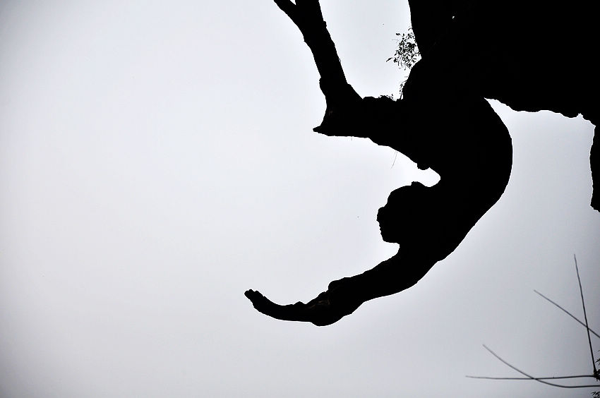 nEO_IMG_��Ƭ 094.jpg