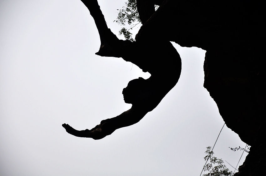 nEO_IMG_��Ƭ 095.jpg