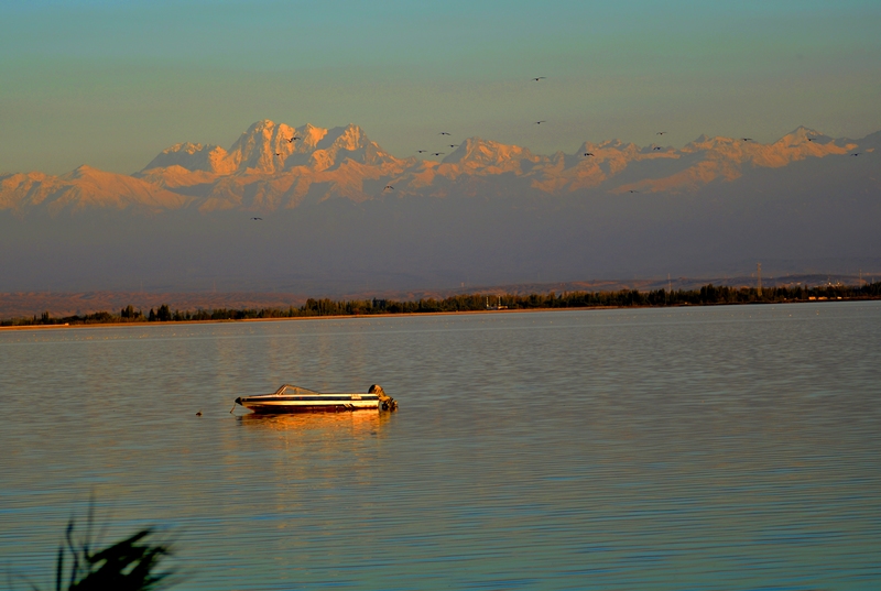 ���� _DSC0001.JPG