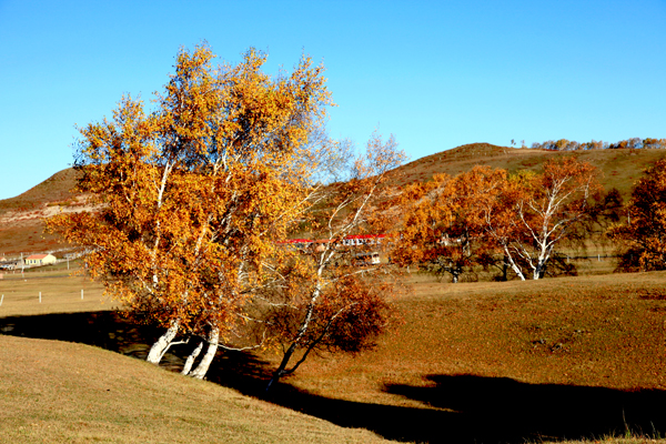 ���ɰ��ϴ���� (5).JPG