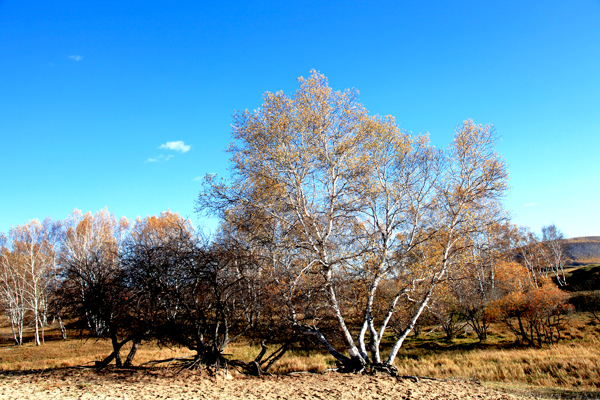 ���ɰ��ϴ���� (14).JPG