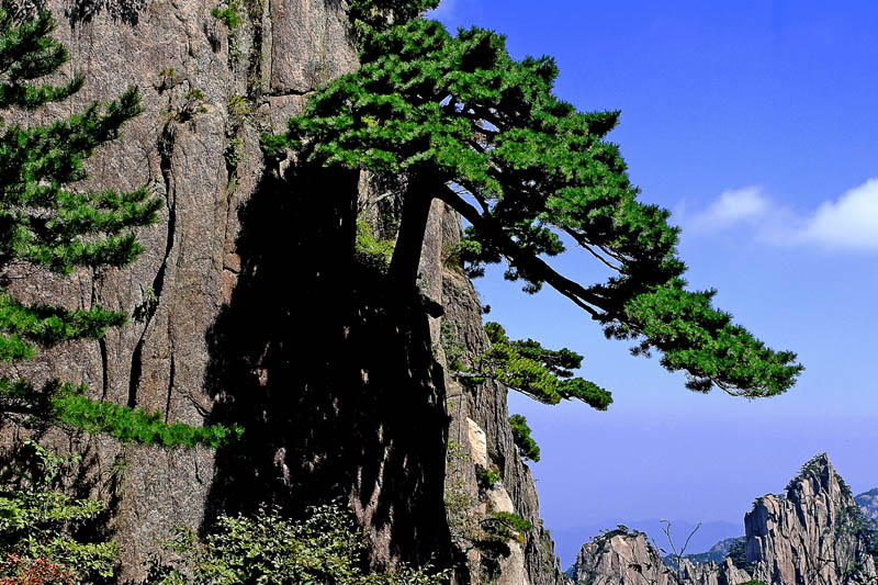 ��ɽ�� 05.jpg