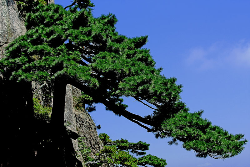 ��ɽ�� 03.jpg