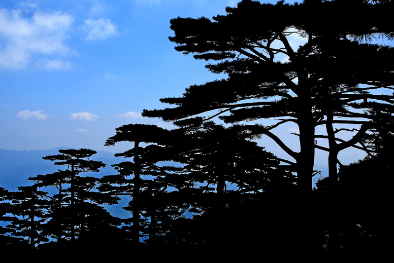 ��ɽ�� 01.jpg