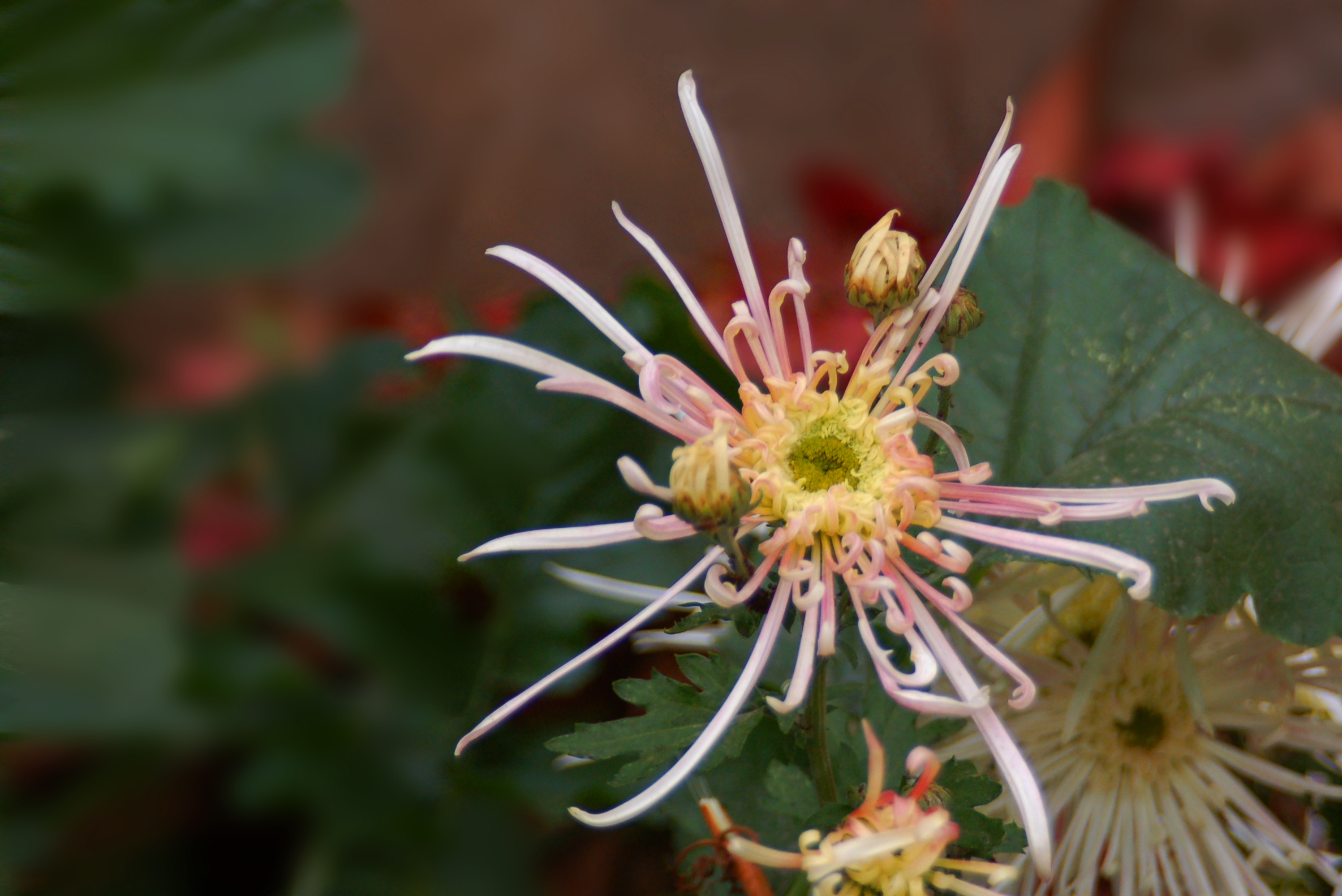 ���� DSC_9048.JPG