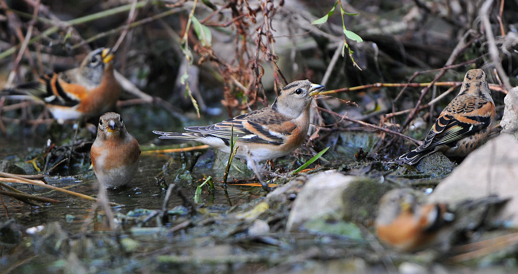 DSC_0389  5.jpg