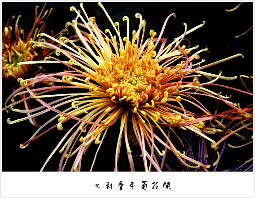 �ջ���Ƭ 074_����.jpg