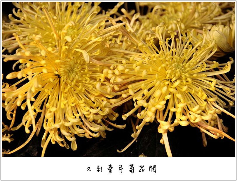 �ջ���Ƭ 025_����.jpg