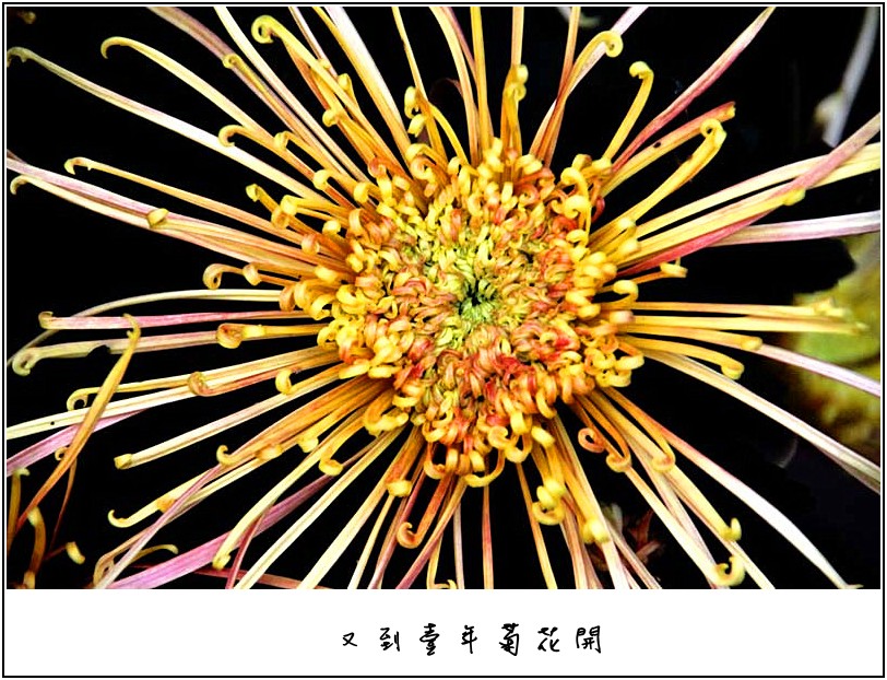 �ջ���Ƭ 065_����.jpg