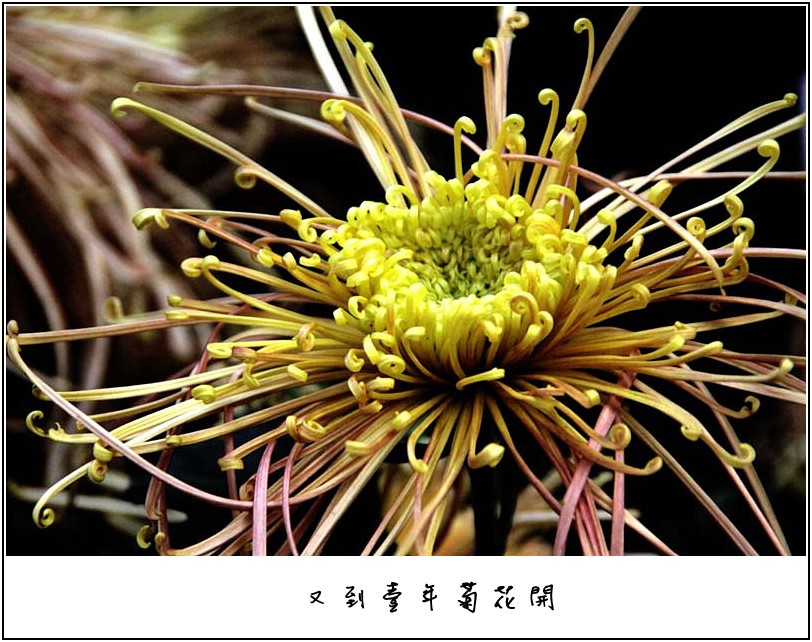 �ջ���Ƭ 055_����.jpg