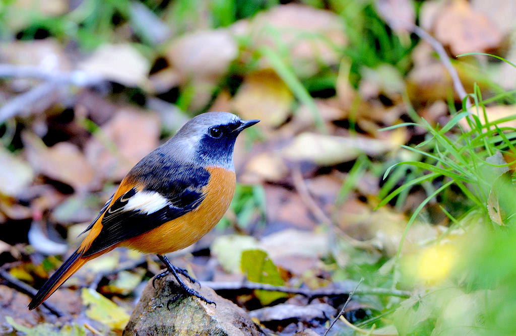 DSC_0140  1.jpg