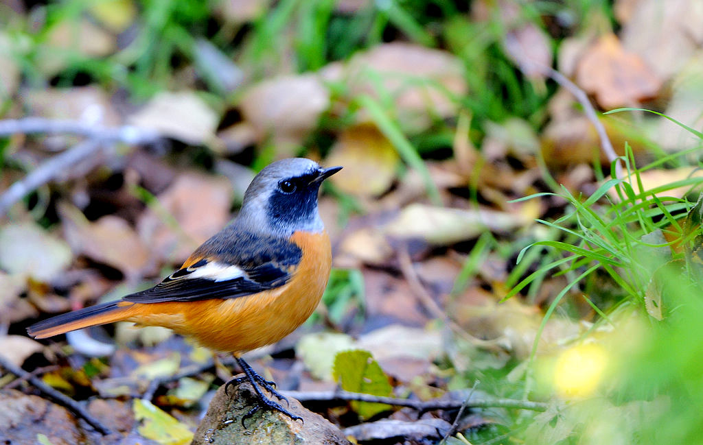 DSC_0181  3.jpg
