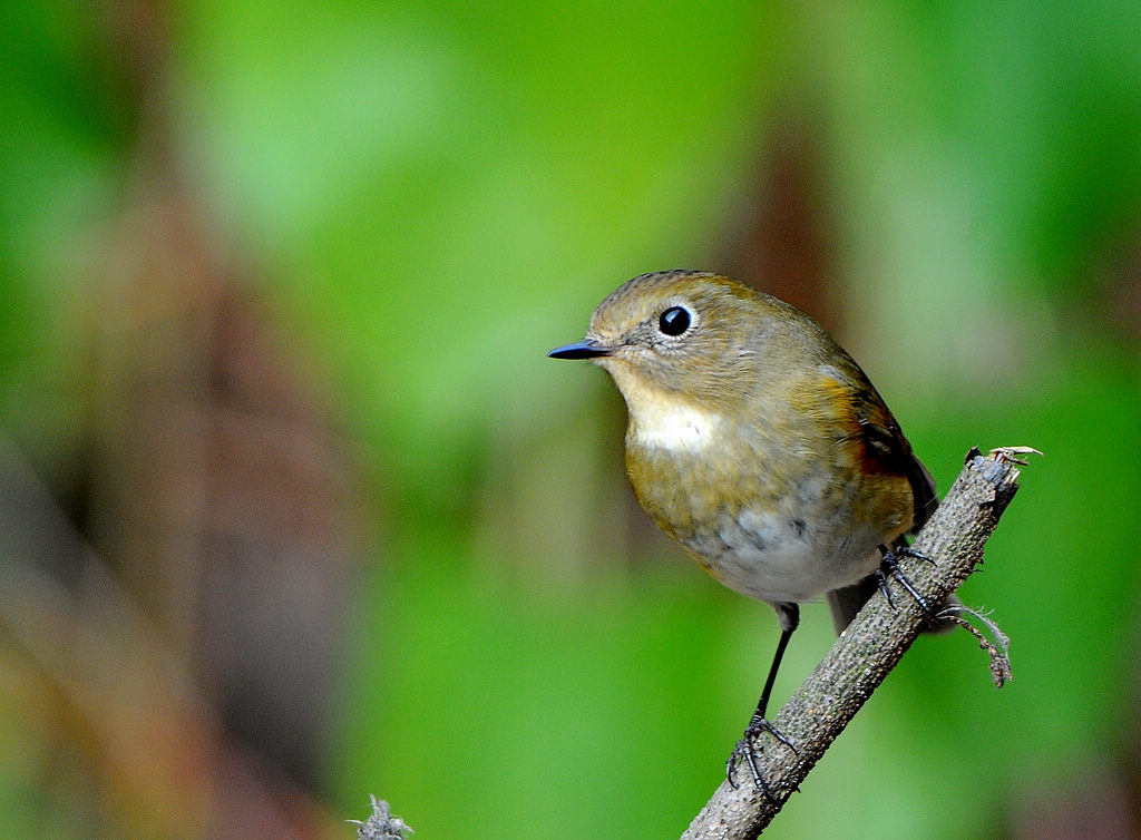 DSC_0866  3.jpg