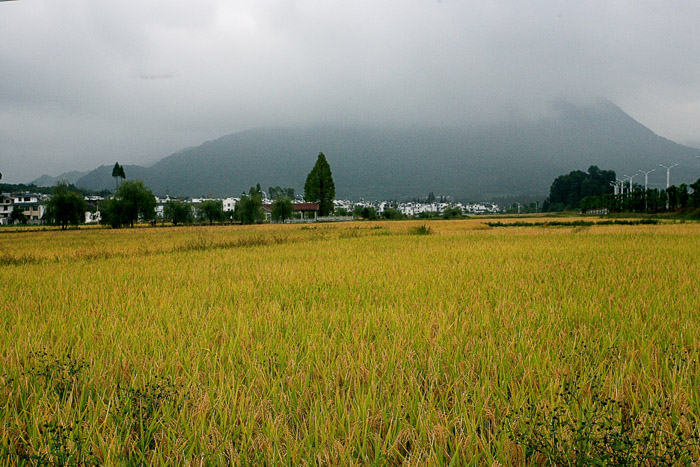 ���糿�� 01 IMG_3585����-1.jpg