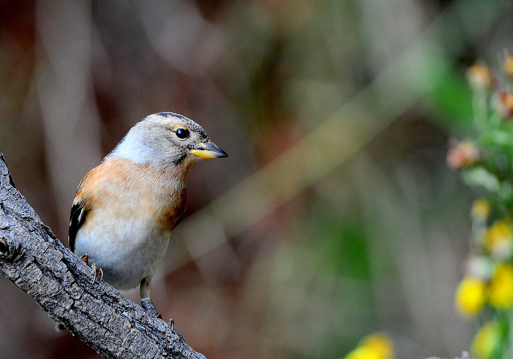 DSC_0150  3.jpg