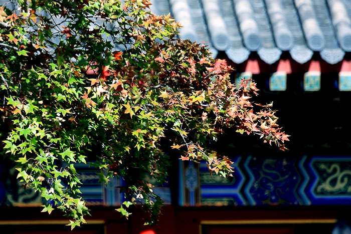 03 IMG_5907����.jpg