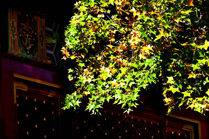 01 IMG_5901����.jpg