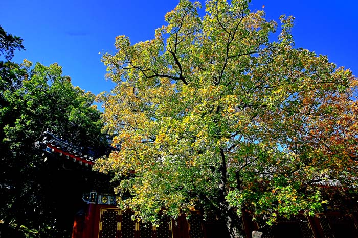 04 IMG_5934����.jpg