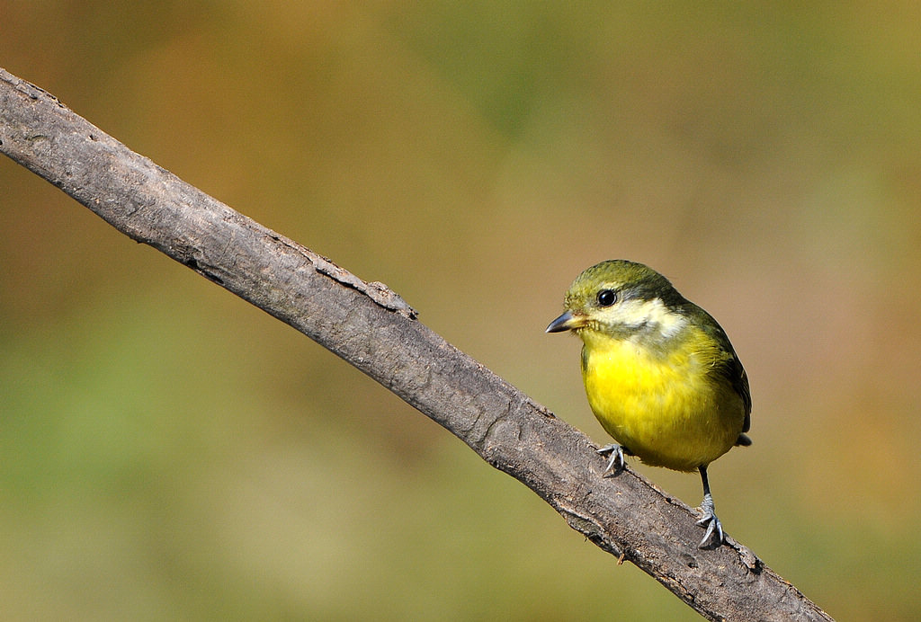 DSC_1257  1.jpg