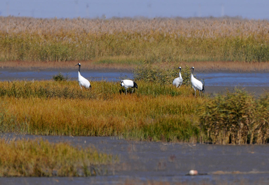 DSC_0172  6.jpg