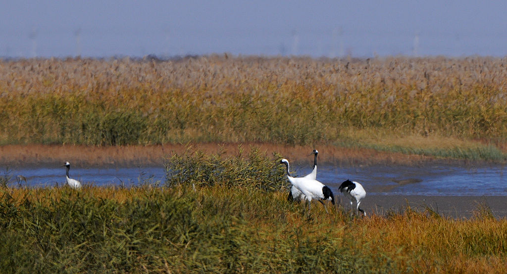DSC_0124  3.jpg