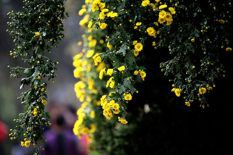 ������Ƭ 555_����.jpg