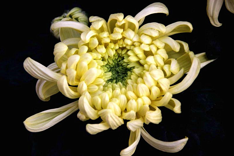 �ջ���Ƭ1 023_����.jpg