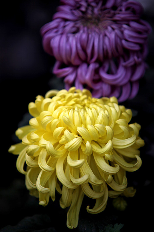 ������Ƭ 518_����.jpg