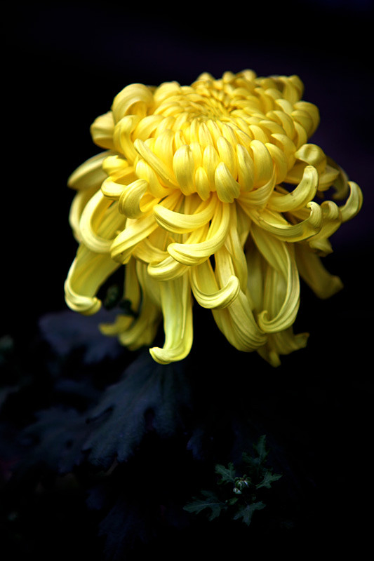 ������Ƭ 517_����.jpg