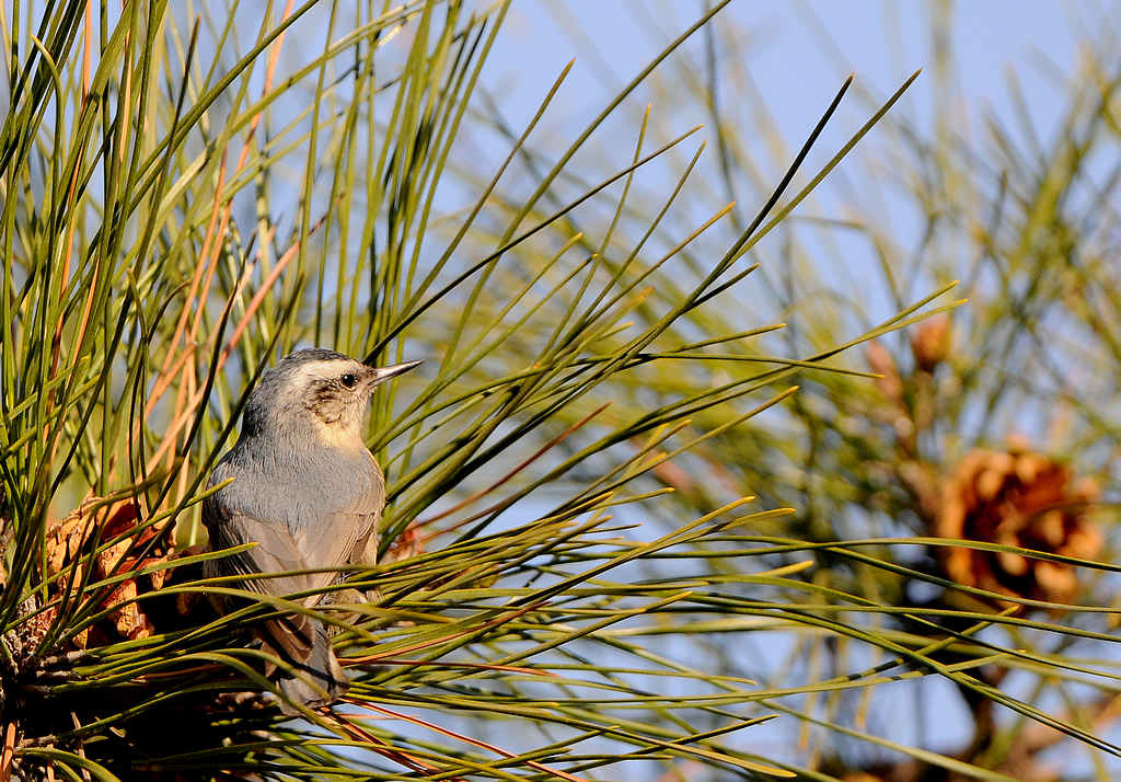DSC_0077  2.jpg